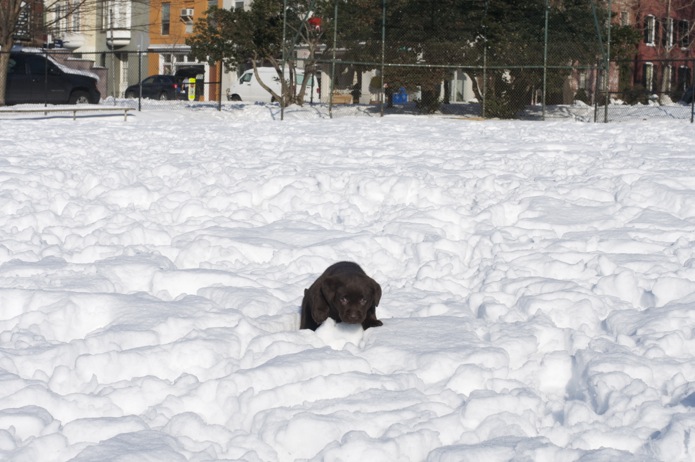 Monster_DC Polar Vortex_04