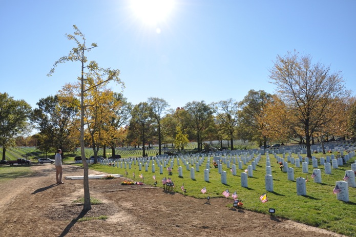 Arlington National Cemetery_fresh graves