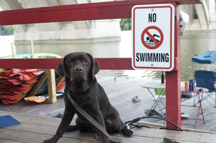 Monster_Paddle Boarding_DC_01