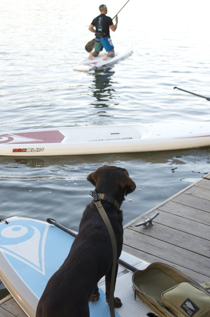 Monster_Paddle Boarding_DC_04