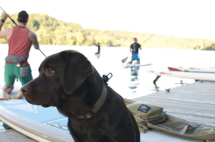 Monster_Paddle Boarding_DC_05