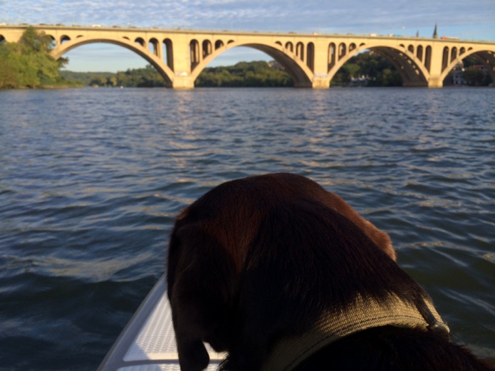 Monster_Paddle Boarding_DC_10